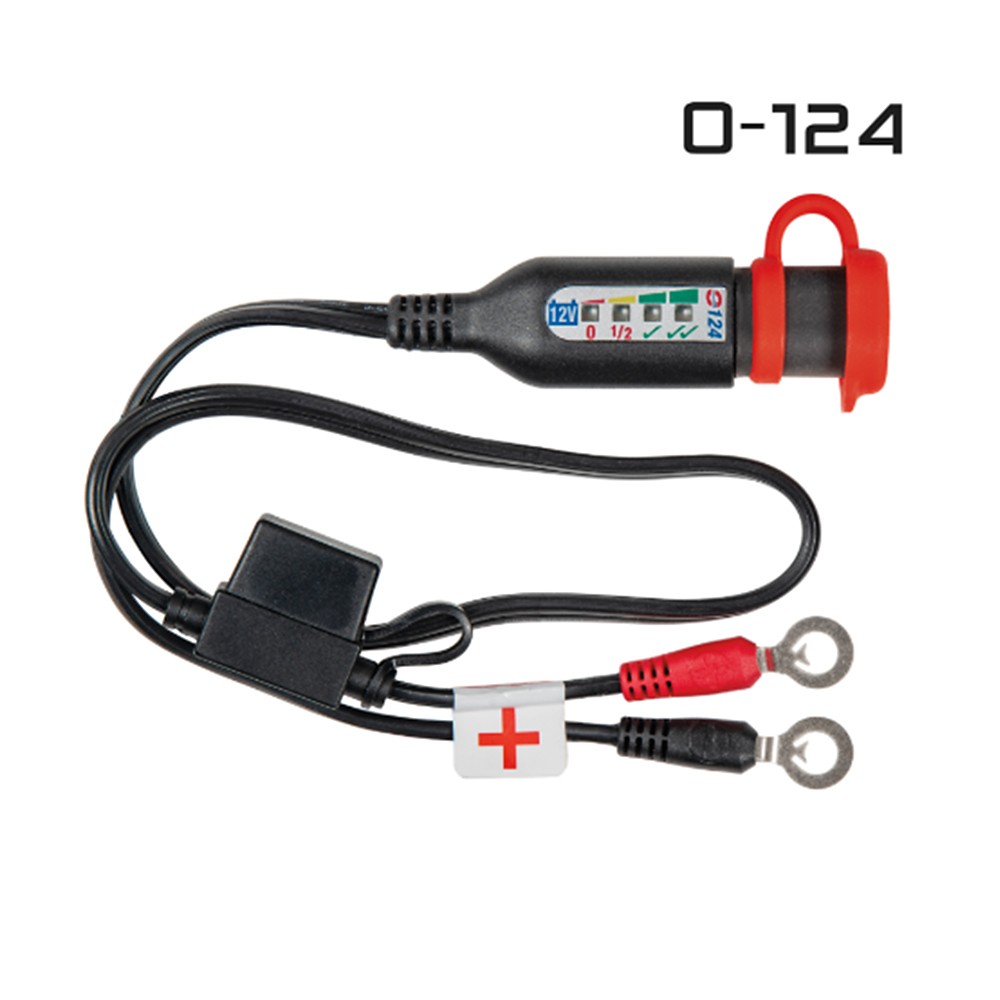 Daisy on the Ohoopee